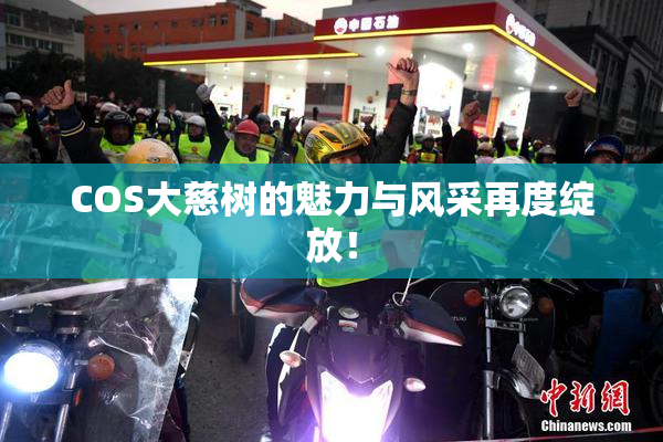 COS大慈树的魅力与风采再度绽放！