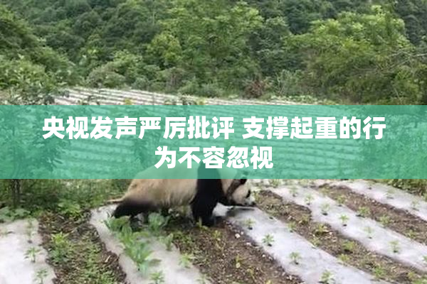 央视发声严厉批评 支撑起重的行为不容忽视