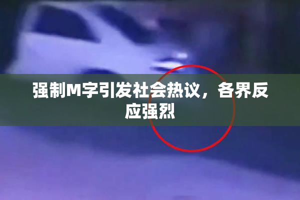 强制M字引发社会热议，各界反应强烈