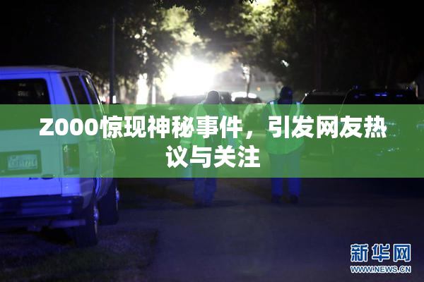 Z000惊现神秘事件，引发网友热议与关注