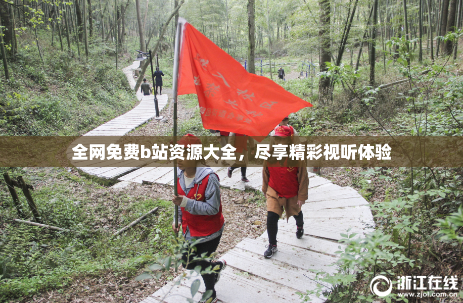 全网免费b站资源大全，尽享精彩视听体验