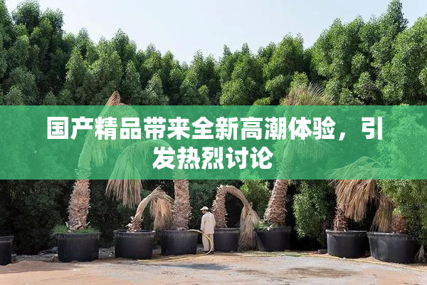 国产精品带来全新高潮体验，引发热烈讨论