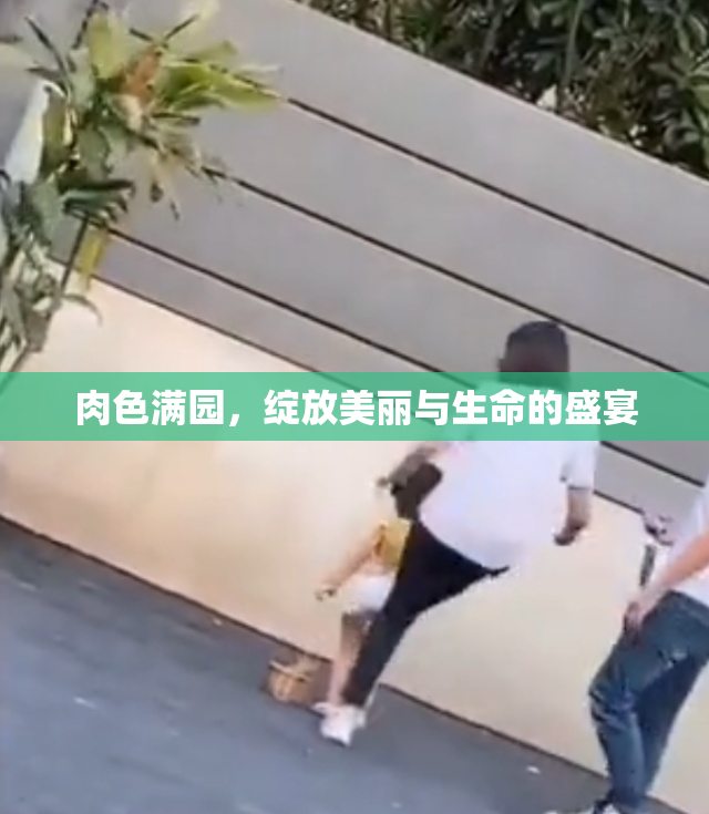 肉色满园，绽放美丽与生命的盛宴