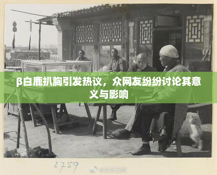 β白鹿扒胸引发热议，众网友纷纷讨论其意义与影响