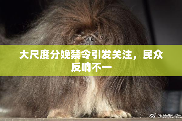 大尺度分娩禁令引发关注，民众反响不一
