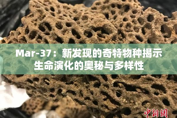 Mar-37：新发现的奇特物种揭示生命演化的奥秘与多样性