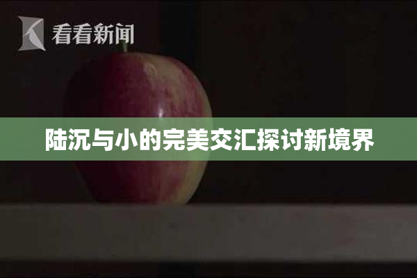 陆沉与小的完美交汇探讨新境界