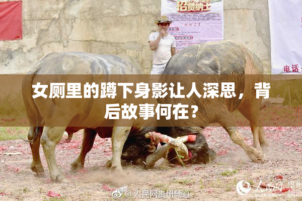 女厕里的蹲下身影让人深思，背后故事何在？