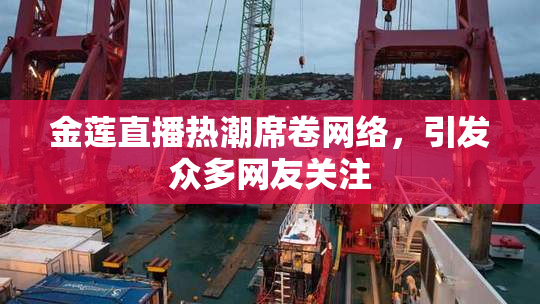 金莲直播热潮席卷网络，引发众多网友关注