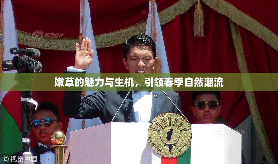 嫩草的魅力与生机，引领春季自然潮流