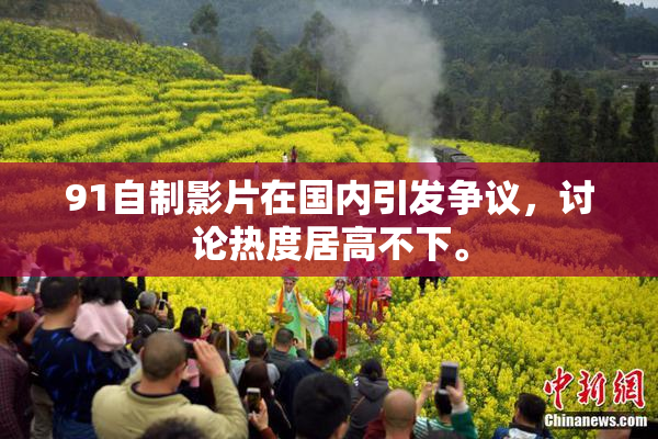 91自制影片在国内引发争议，讨论热度居高不下。