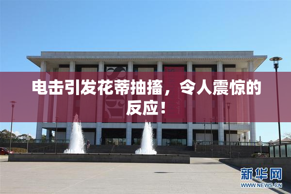 电击引发花蒂抽搐，令人震惊的反应！