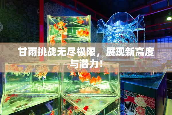 甘雨挑战无尽极限，展现新高度与潜力！