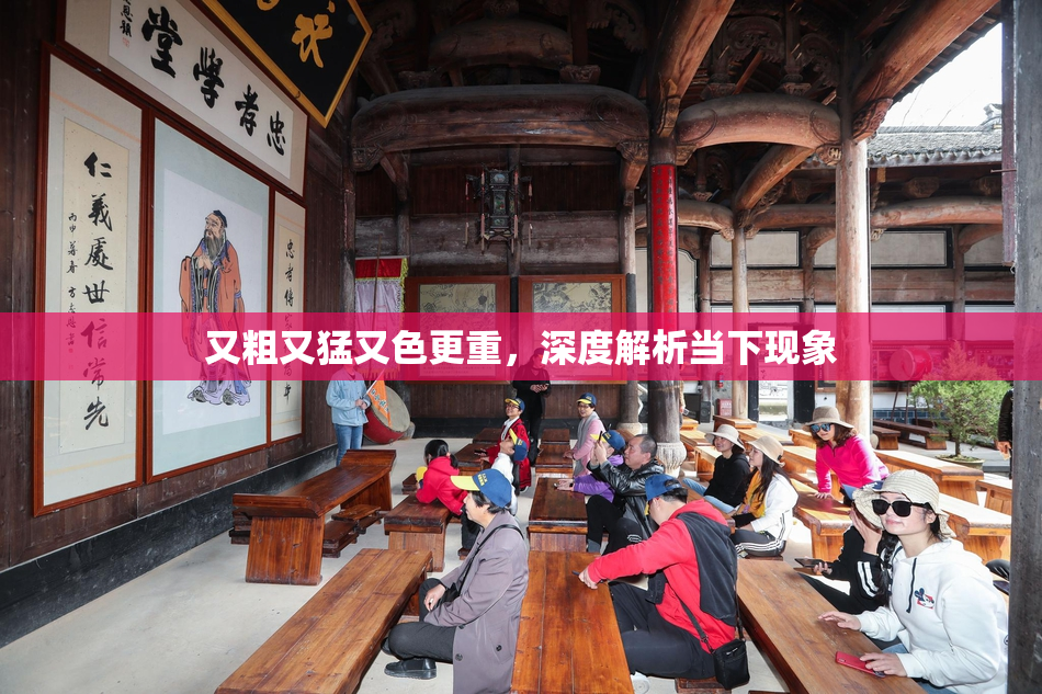 又粗又猛又色更重，深度解析当下现象