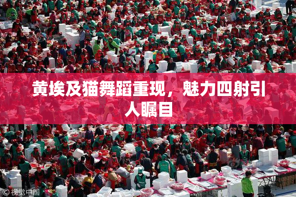 黄埃及猫舞蹈重现，魅力四射引人瞩目