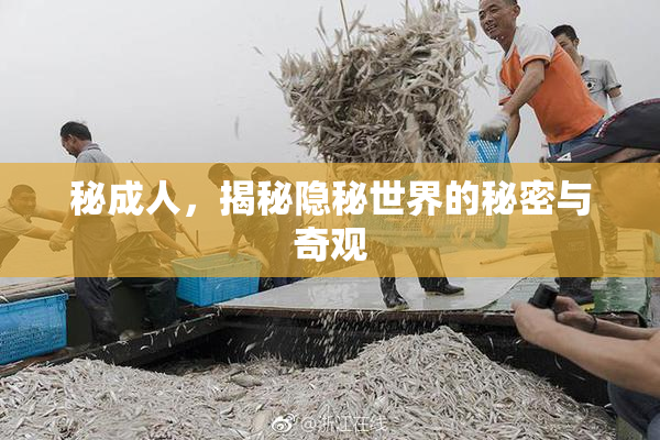 秘成人，揭秘隐秘世界的秘密与奇观
