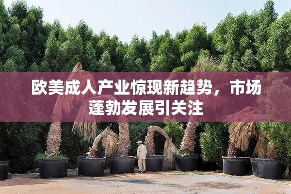 欧美成人产业惊现新趋势，市场蓬勃发展引关注