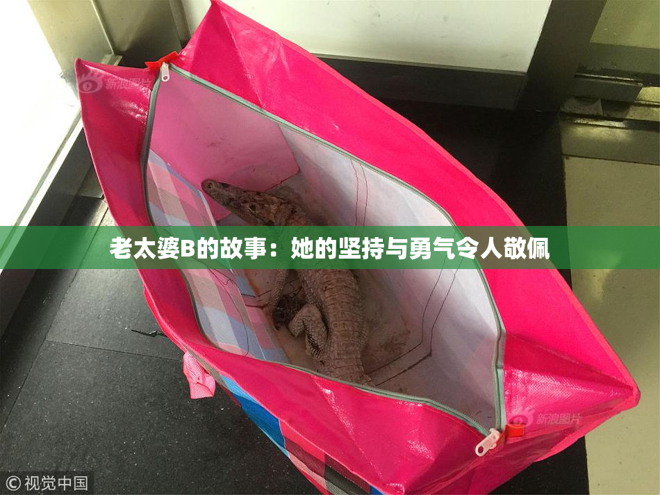 老太婆B的故事：她的坚持与勇气令人敬佩
