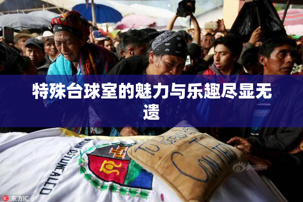 特殊台球室的魅力与乐趣尽显无遗