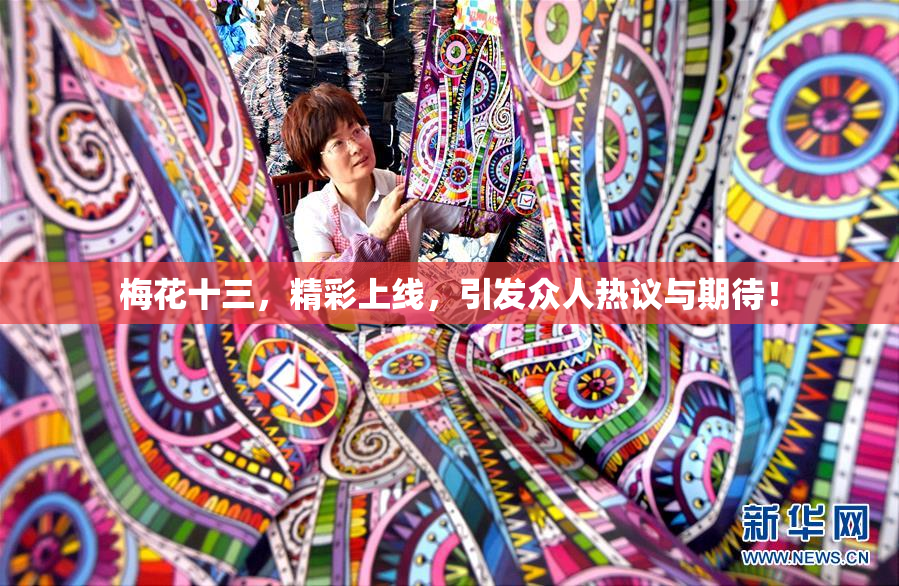梅花十三，精彩上线，引发众人热议与期待！