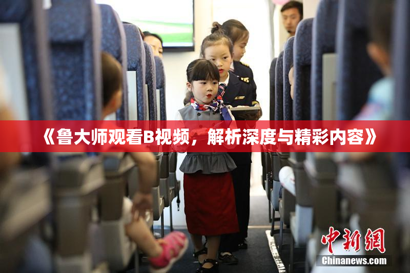 《鲁大师观看B视频，解析深度与精彩内容》