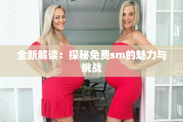全新解读：探秘免费sm的魅力与挑战
