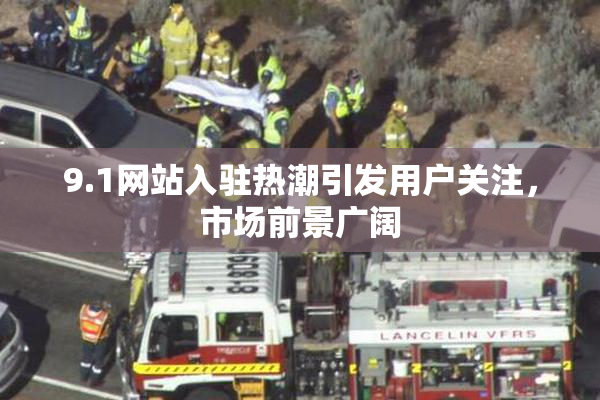 9.1网站入驻热潮引发用户关注，市场前景广阔