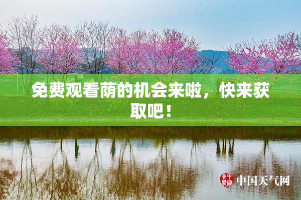 免费观看荫的机会来啦，快来获取吧！