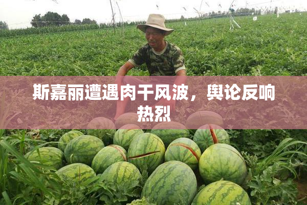 斯嘉丽遭遇肉干风波，舆论反响热烈