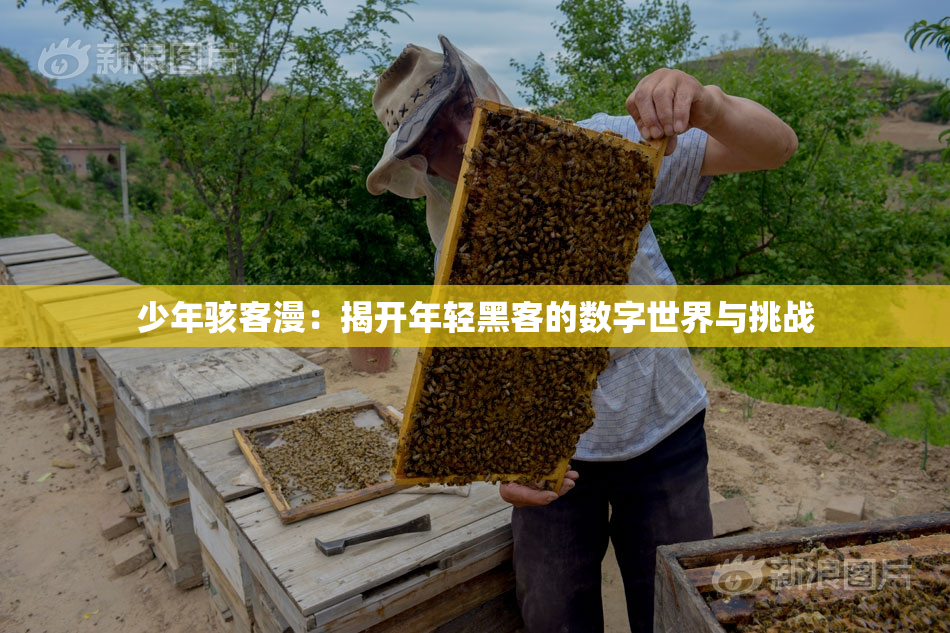 少年骇客漫：揭开年轻黑客的数字世界与挑战