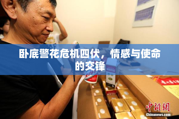 卧底警花危机四伏，情感与使命的交锋