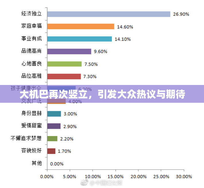 大机巴再次竖立，引发大众热议与期待