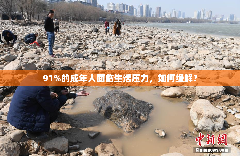 91%的成年人面临生活压力，如何缓解？