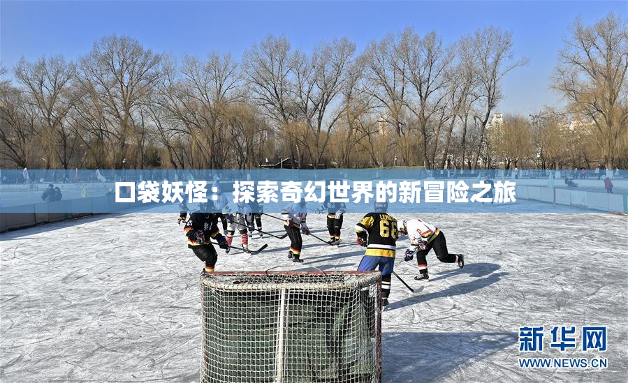 口袋妖怪：探索奇幻世界的新冒险之旅