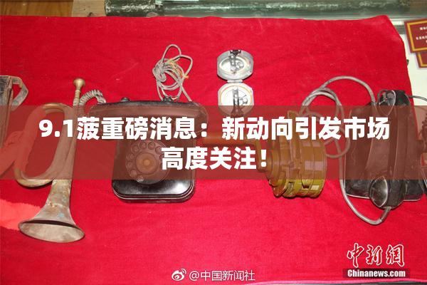 9.1菠重磅消息：新动向引发市场高度关注！
