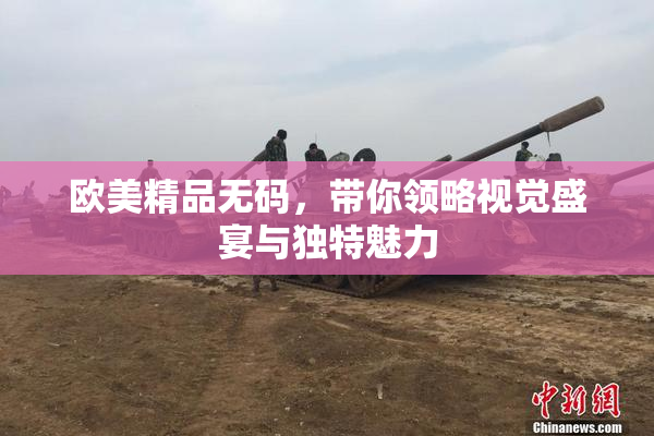 欧美精品无码，带你领略视觉盛宴与独特魅力