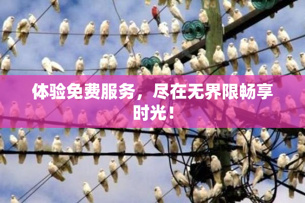 体验免费服务，尽在无界限畅享时光！