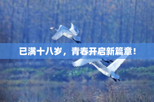 已满十八岁，青春开启新篇章！