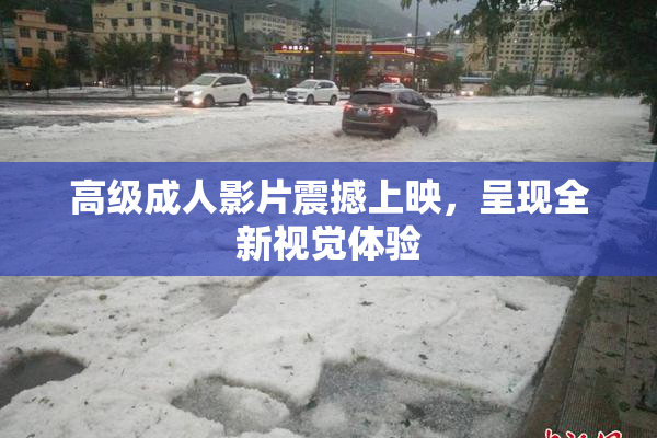 高级成人影片震撼上映，呈现全新视觉体验