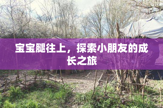 宝宝腿往上，探索小朋友的成长之旅