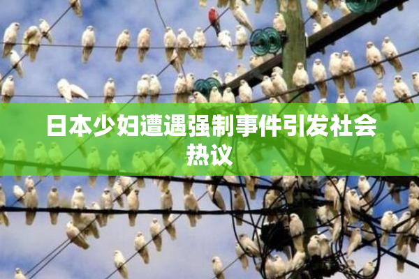 日本少妇遭遇强制事件引发社会热议
