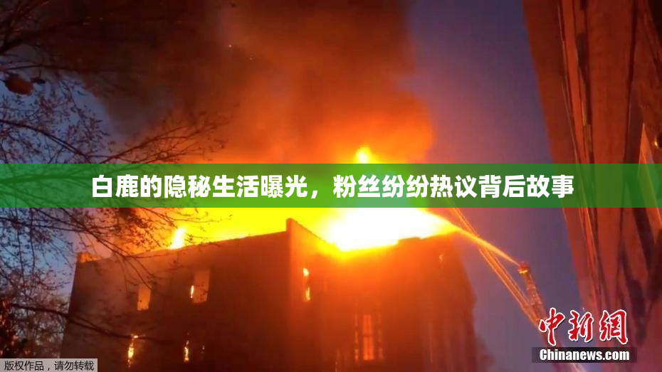 白鹿的隐秘生活曝光，粉丝纷纷热议背后故事