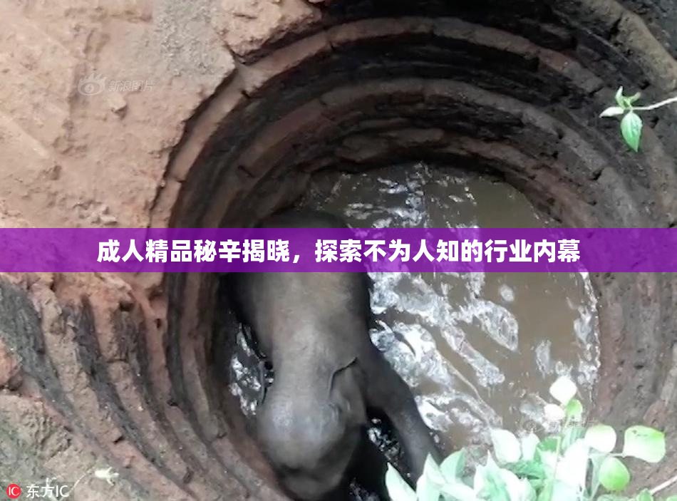 成人精品秘辛揭晓，探索不为人知的行业内幕