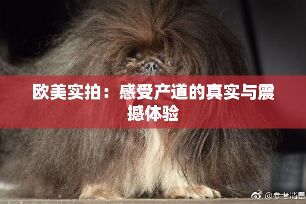 欧美实拍：感受产道的真实与震撼体验