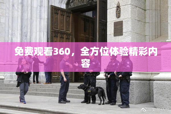 免费观看360，全方位体验精彩内容