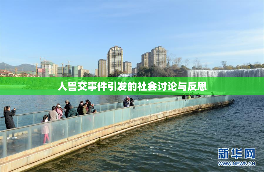 人兽交事件引发的社会讨论与反思