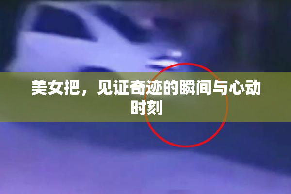 美女把，见证奇迹的瞬间与心动时刻