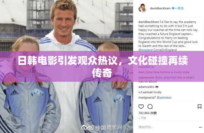 日韩电影引发观众热议，文化碰撞再续传奇