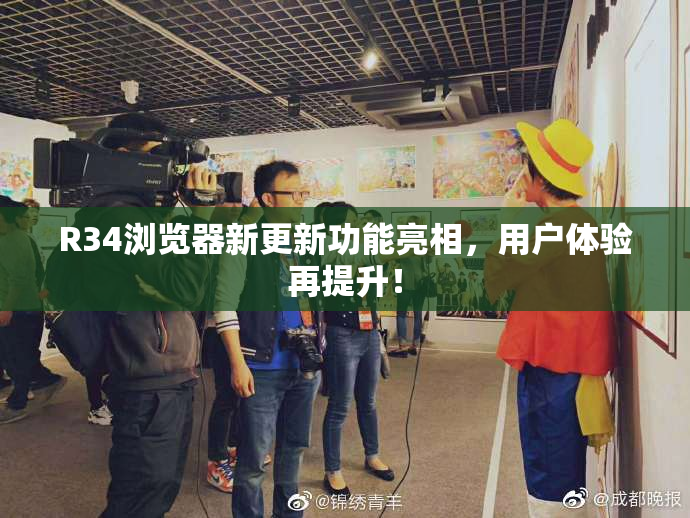 R34浏览器新更新功能亮相，用户体验再提升！