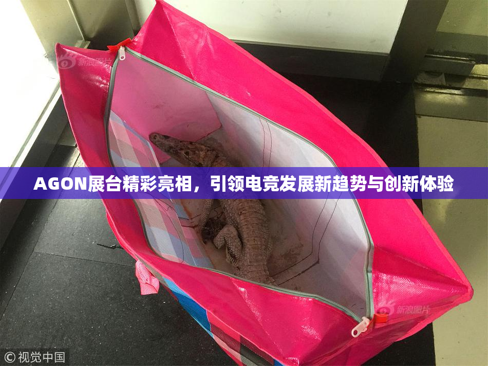 AGON展台精彩亮相，引领电竞发展新趋势与创新体验